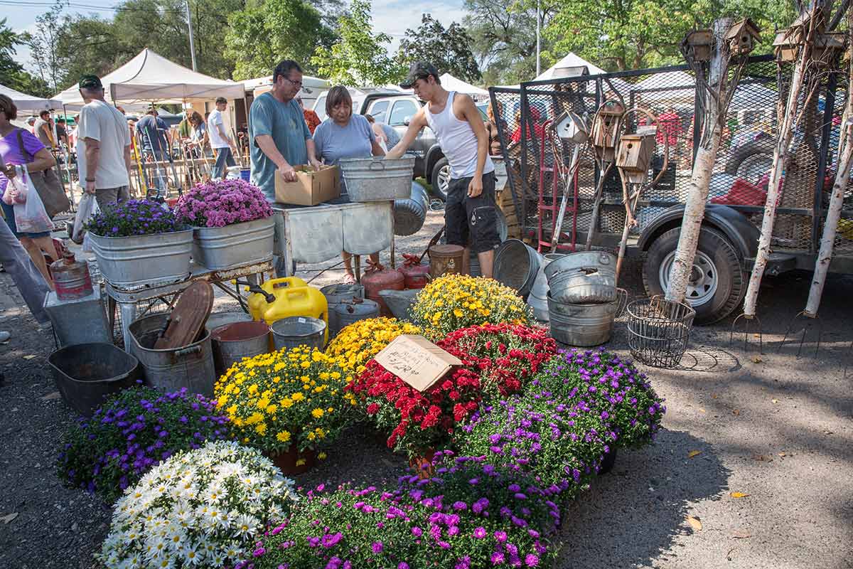 Princeton Flea Market— Antiquing on a whole new level